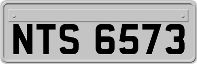 NTS6573