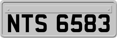 NTS6583