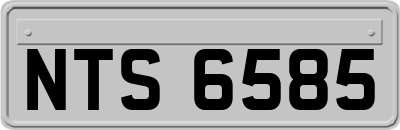 NTS6585