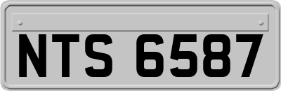 NTS6587