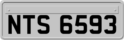 NTS6593