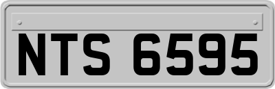 NTS6595