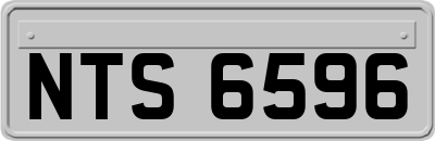 NTS6596
