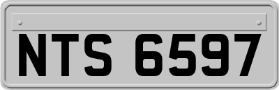NTS6597