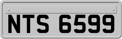 NTS6599