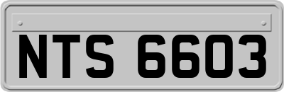 NTS6603