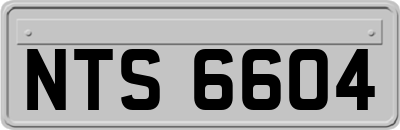NTS6604