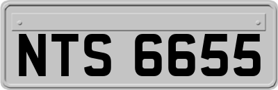 NTS6655