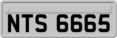 NTS6665