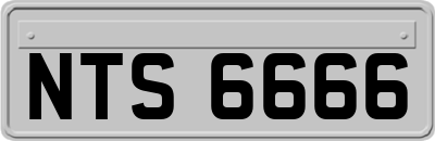 NTS6666