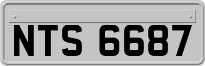 NTS6687