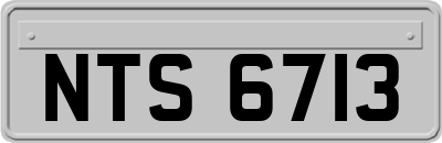 NTS6713