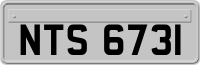 NTS6731