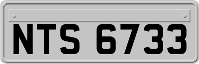NTS6733