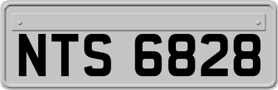 NTS6828
