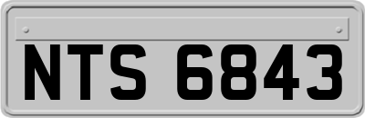 NTS6843