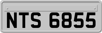 NTS6855
