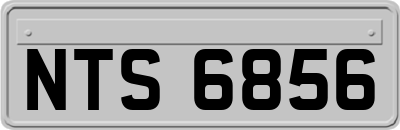 NTS6856