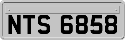 NTS6858
