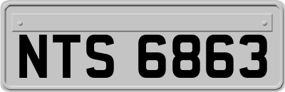 NTS6863