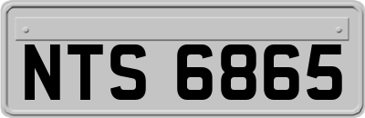 NTS6865