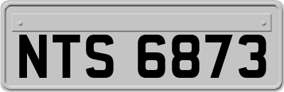 NTS6873