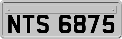 NTS6875
