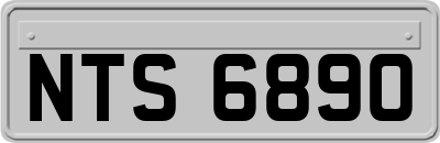 NTS6890
