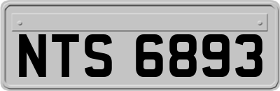NTS6893