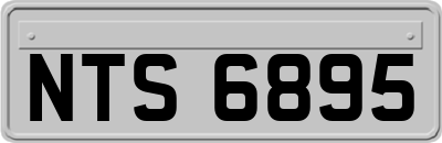 NTS6895