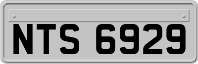 NTS6929