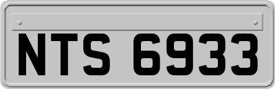 NTS6933