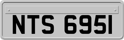 NTS6951