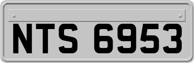 NTS6953