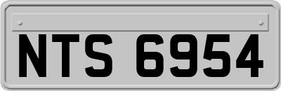 NTS6954