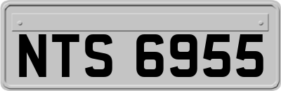 NTS6955