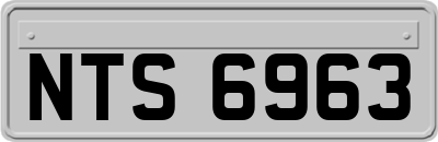 NTS6963