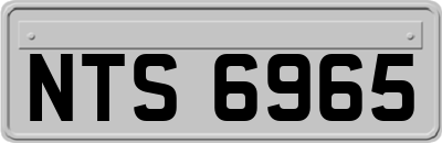 NTS6965