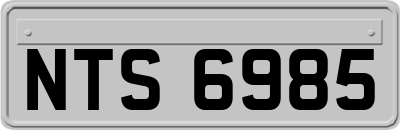 NTS6985