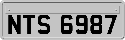 NTS6987