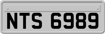 NTS6989