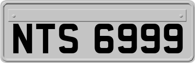 NTS6999