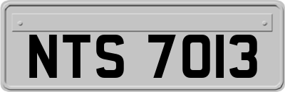 NTS7013