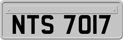 NTS7017