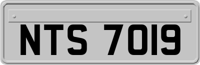 NTS7019
