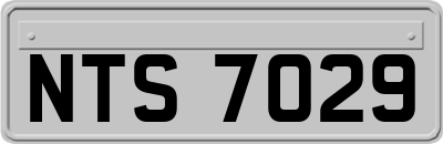 NTS7029