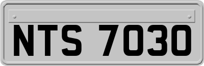 NTS7030