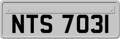 NTS7031