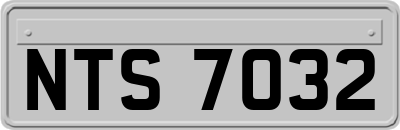 NTS7032