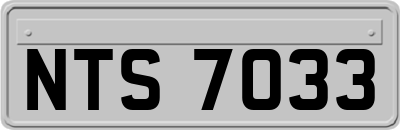 NTS7033